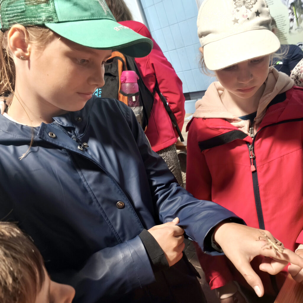 Dream Night im Zoo Karlsruhe – Ein Abend zum Durchatmen
