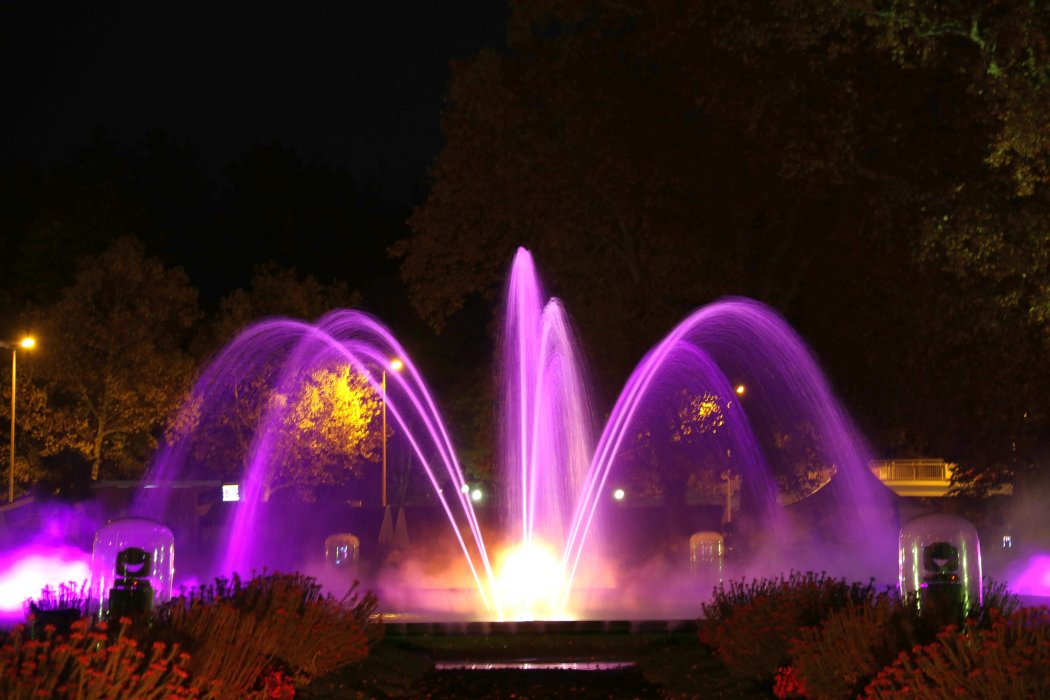 Ein mit lichtern beleuchteter Brunnen in der Nacht. Die Fontänen leuchten pink und auch die Bäume und Sträucher in der Umgebung sind angeleuchtet.